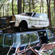 Illustration for article titled Massive Secret Mustang Junkyard Found In Rhode Island Forest